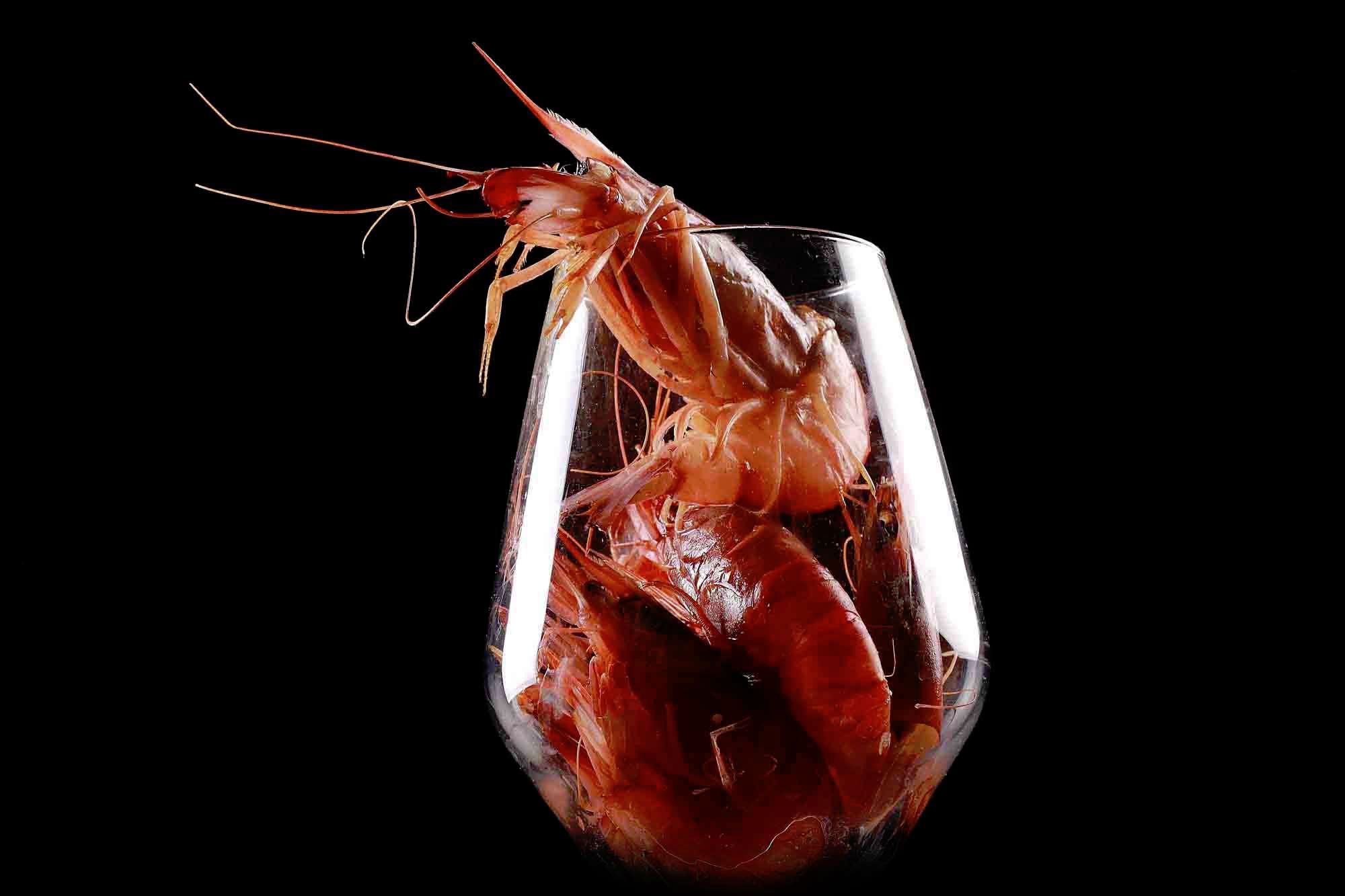 la famiglia correzzola